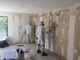 Best Comprehensive Air Testing for Mold Contaminants  in Ross, OH